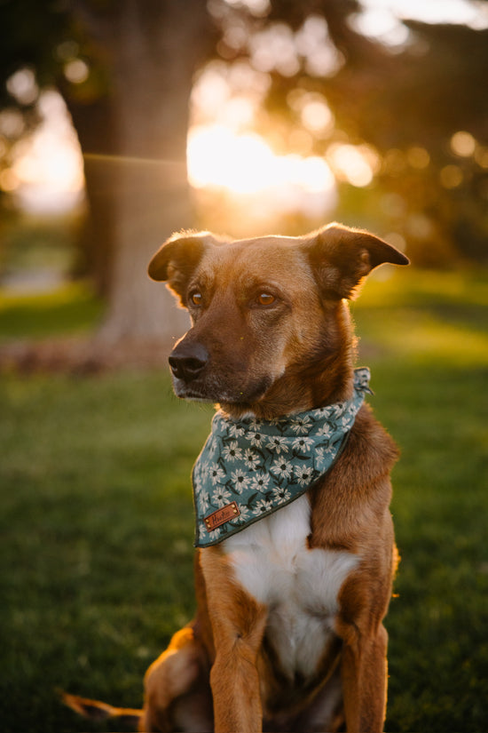 Kalina Bandana Blue