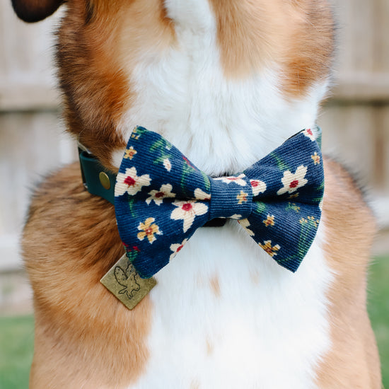 Emmi Bow Tie