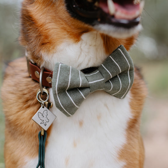 Olive Pinstripe Bow Tie