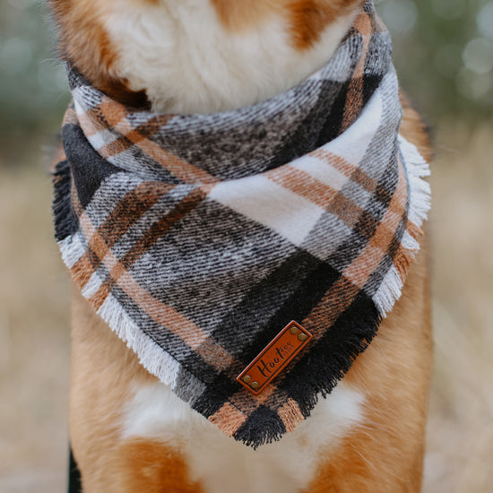 Duke Bandana