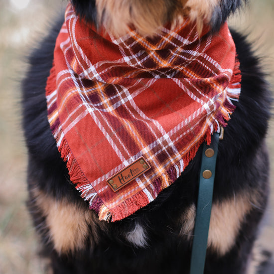 Avery Bandana