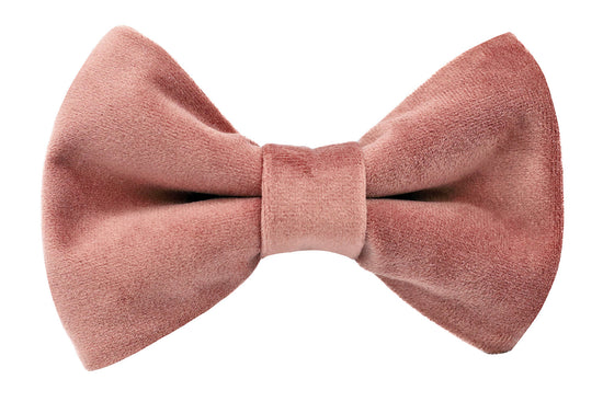 Velvet Bow Tie Blush