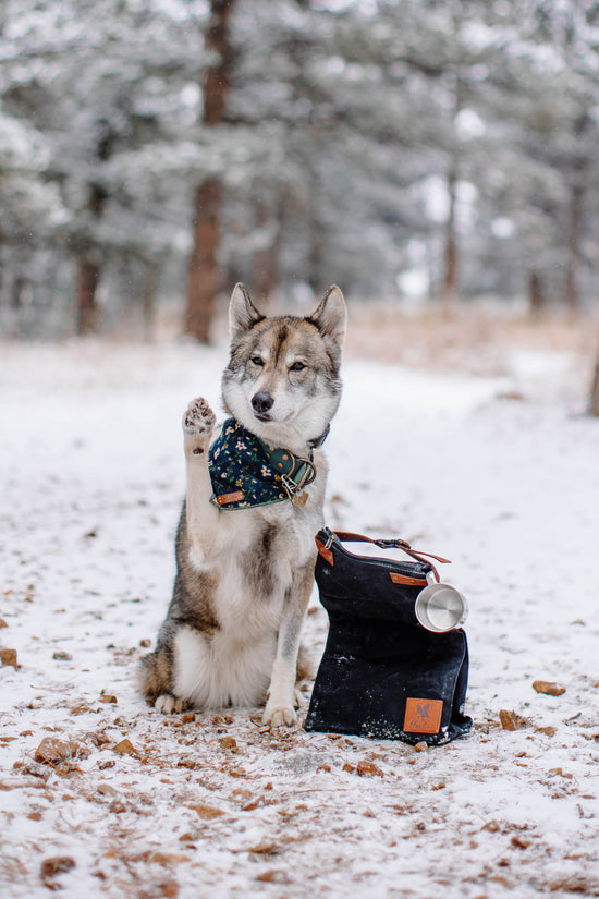 The Kibble Bag Black