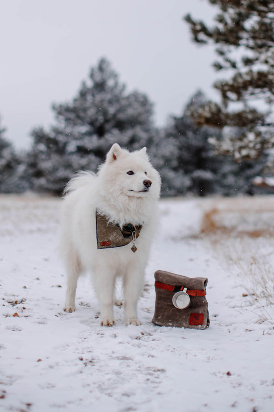 The Kibble Bag Brown