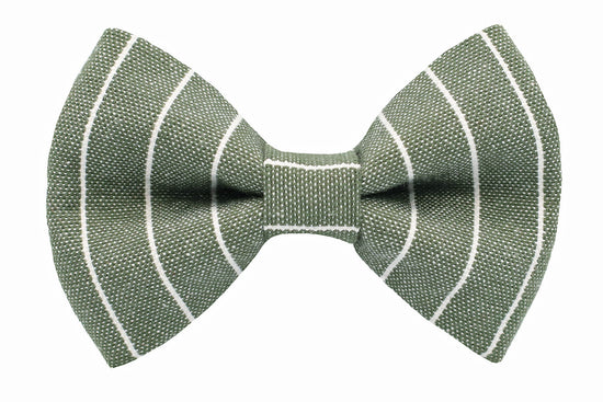 Olive Pinstripe Bow Tie