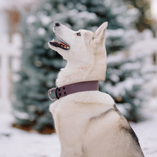 Rep Full Slip Collar - All Colors